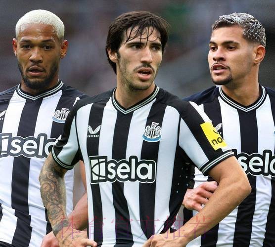 电讯报:纽卡接近和吉马良斯续约 皇马仍在关注他 电讯报:纽卡接近和吉马良斯续约 皇马仍在关注他